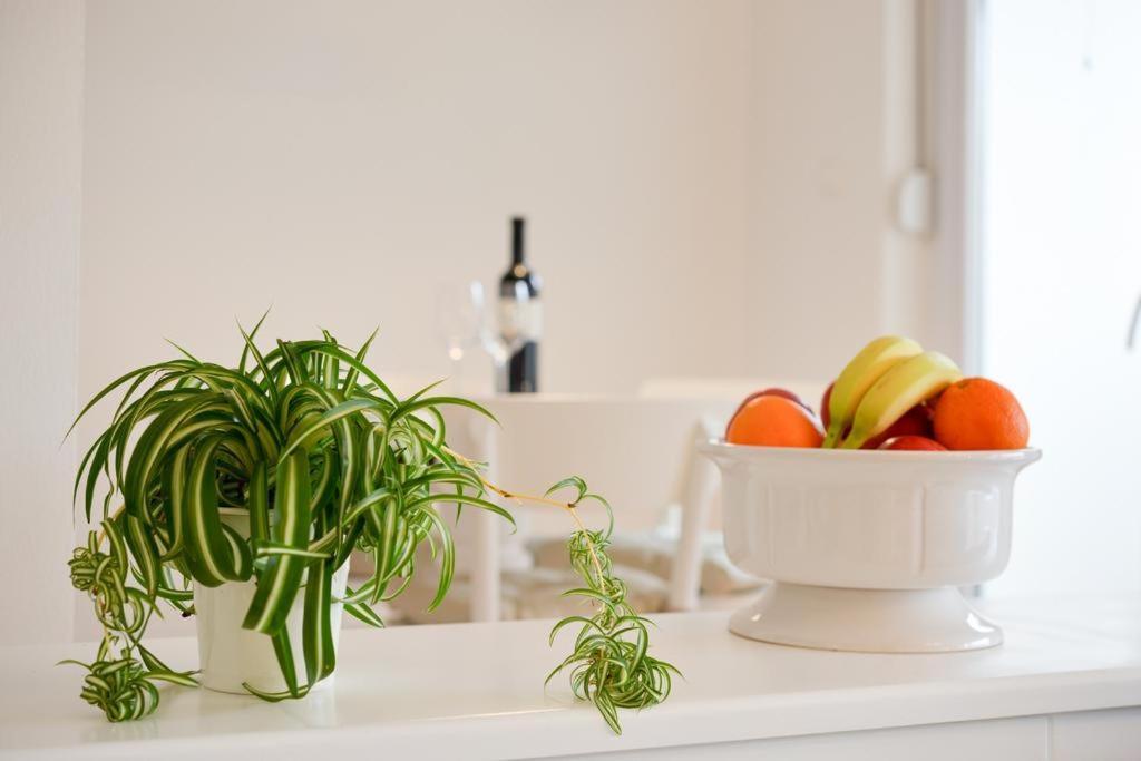Spacious Chic Residence 자다르 객실 사진