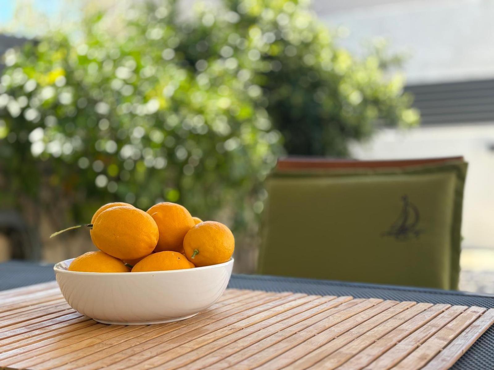 Spacious Chic Residence 자다르 외부 사진